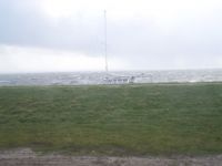 Bild 3 von Katamaran trieb beim Sturm auf den Hafendeich