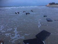 Bild 1 von Erneute Anlandungen von Strandgut auf  Borkum 