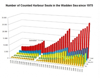 Bild 0 von Seehundzählung 2012: Mehr Seehunde im Wattenmeer als je zuvor