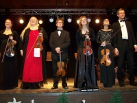 Bild 0 von Kammerphilharmonie Köln: Vivaldi, bis die Stühle leer bleiben