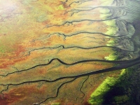 Bild 3 von Renommierter Luftbildfotograf Launer stellt auf Juist aus