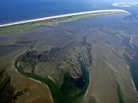 Bild 1 von Neue Luftbilder von Juist und dem Juister Wattenmeer