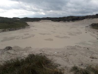 Bild 0 von Küstenschutzmaßnahme hinterließ Sandloch in den Dünen
