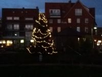 Bild 9 von Ein Juister Weihnachtsbaum steht auch auf dem Kurplatz