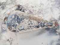 Bild 0 von Fund einer Sprengboje am Strand von Juist