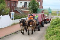 Bild 1 von Schüler aus Gelsenkirchen erlebte Müllabfuhr mit Pferden auf Juist
