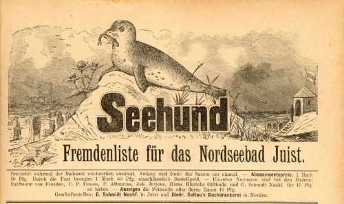 Bild 0 von Der Seehund - Historisches Informationsblatt mit Mehrwert