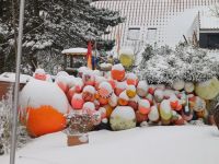 Bild 3 von JNN-FOTOSTRECKE: Insel im Schnee 2