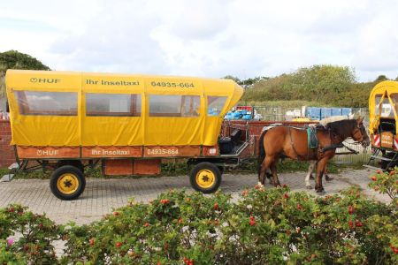 Bild 0 von Inselgemeinde übernimmt hohes Risiko bei Flugplatzanbindung