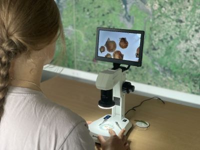 Bild 0 von Kleine Wesen im Nationalpark-Haus ganz groß