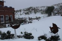 Bild 5 von JNN-Fototour: Unterwegs auf Juist im Schneesturm - Teil 2