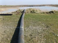 Bild 6 von Hafenbaggerung läuft nach Anlaufschwierigkeiten an