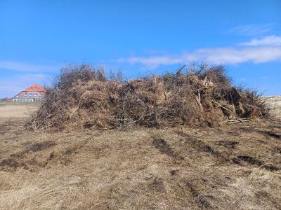 Bild 0 von Osterfeuer im Loog wird erst am Sonntagabend abgebrannt