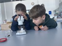 Bild 6 von Schülerschaft der Inselschule Juist in Aurich