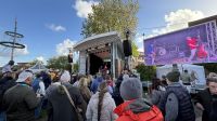Bild 1 von Nachlese vom 2. Juistival