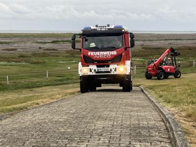 Bild 0 von Einsatz auf den Salzwiesen